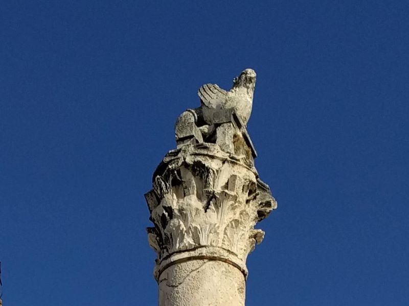 schandpaal op het forum met griffioen