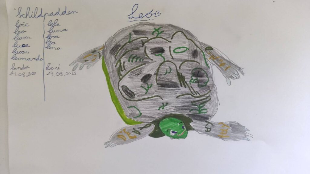 tekening schildpad